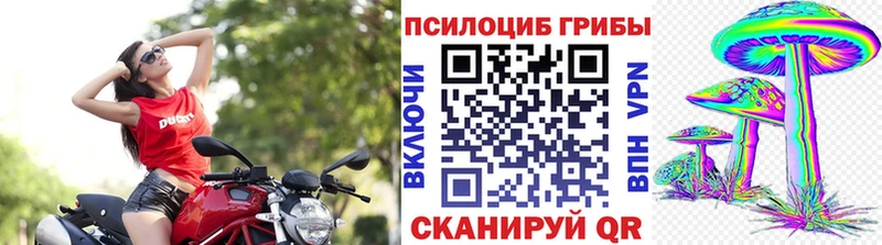 МЕГА ONION  Рославль  Псилоцибиновые грибы ЛСД 