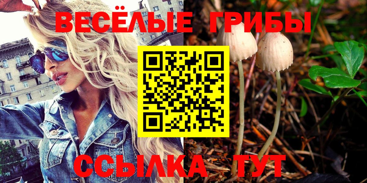 Галлюциногенные грибы MAGIC MUSHROOMS Рославль