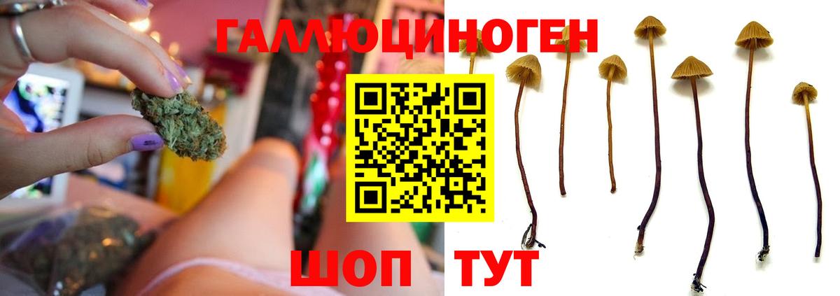Рославль  цены наркотик  Вход с VPN  Псилоцибиновые грибы Psilocybine cubensis 