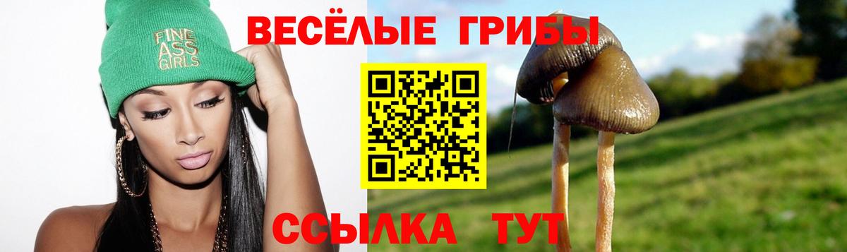 продажа наркотиков  Галлюциногенные грибы мицелий  Рославль  Вход с VPN  Галлюциногенные грибы Cubensis 