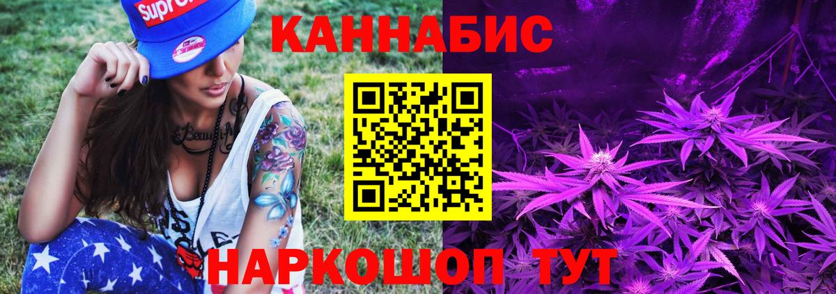 Бошки Шишки планчик Рославль